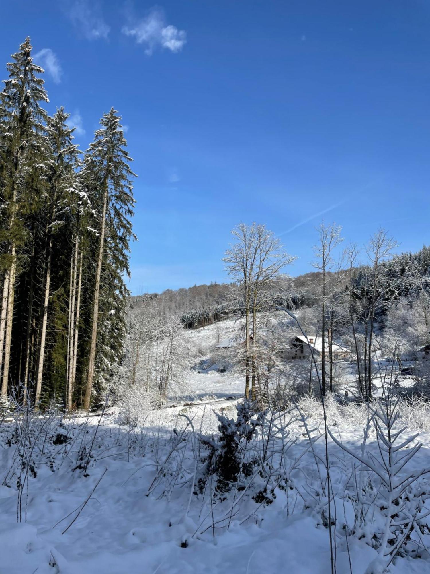 La Hutte Βίλα Tendon Εξωτερικό φωτογραφία